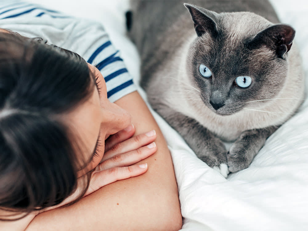 8 Kind Things You Do That Your Cat Reads as Threats