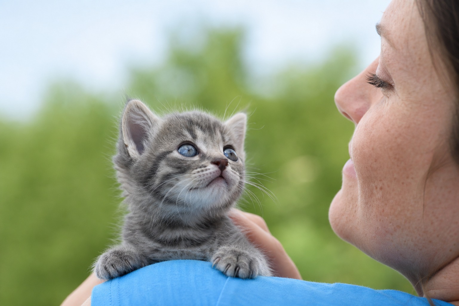 A Kitten's Body Keeps a Calendar. Here's How to Read It.