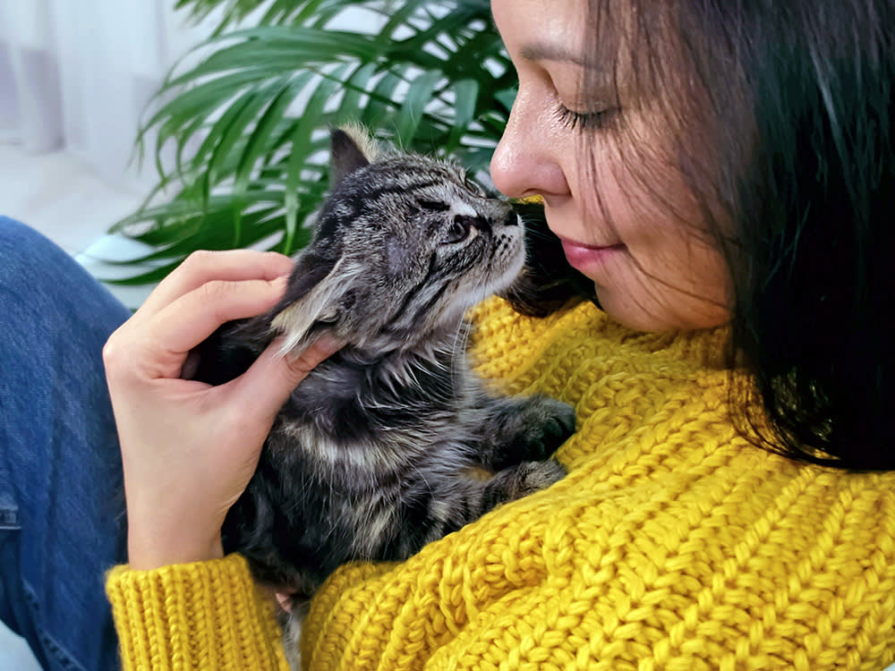 Your Kitten Isn't Kissing You. It's Filing You Under 'Family.'