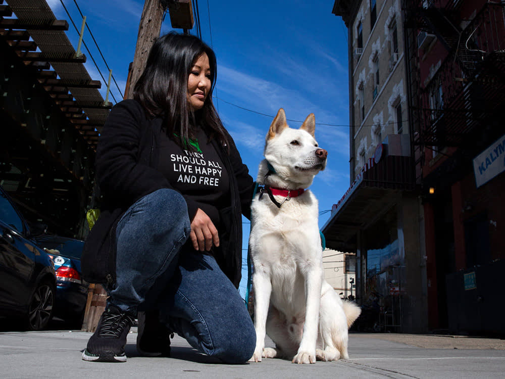 South Korea Banned the Dog Meat Trade. Nobody Planned for the Dogs.