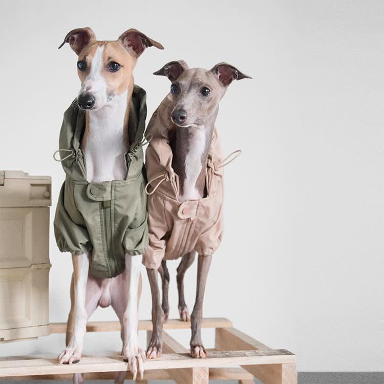 This Brand Refuses to Call Its Dog Toys 'Toys.' Here's Why That's Not Just Marketing.