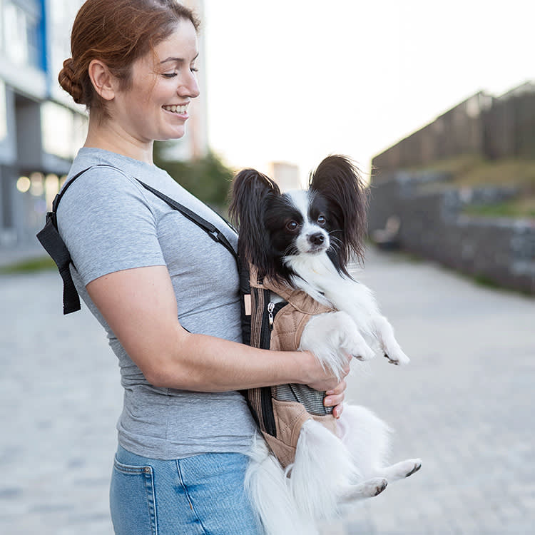 A Lawyer Is Suing the IRS to Claim Her Golden Retriever as a Dependent