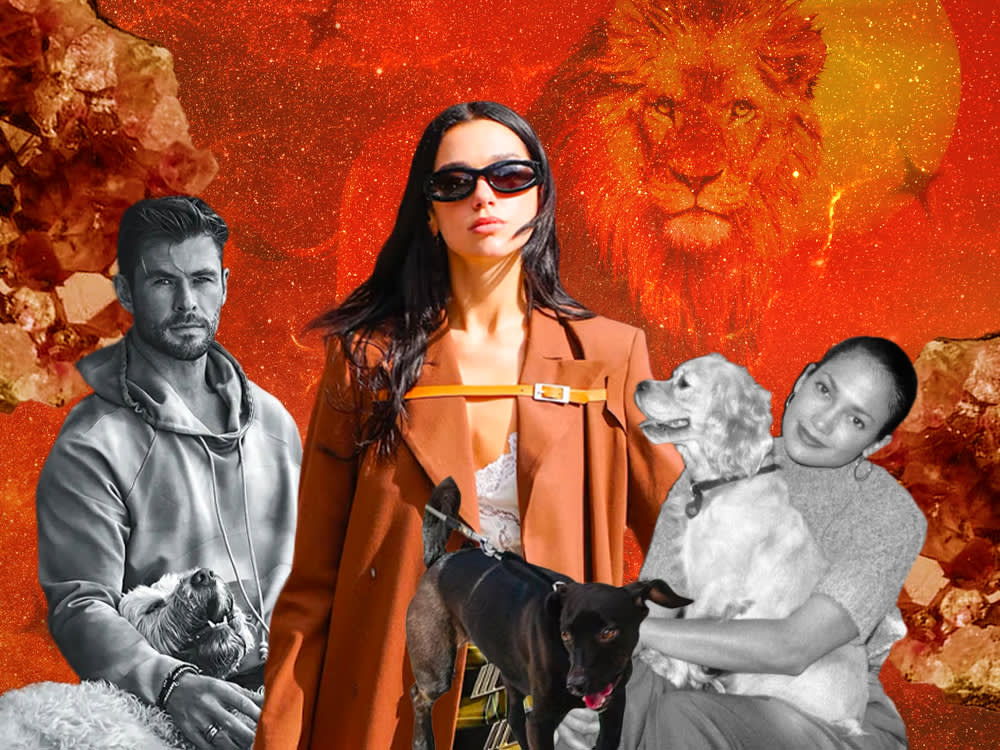 Leo Season Is Basically a Permission Slip to Spoil Your Pet