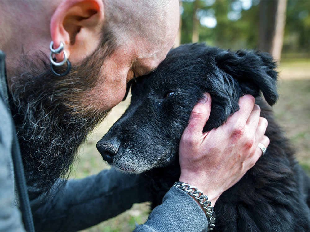 'Lifetime' Coverage Wasn't. Nationwide Just Dropped 100,000 Pets.
