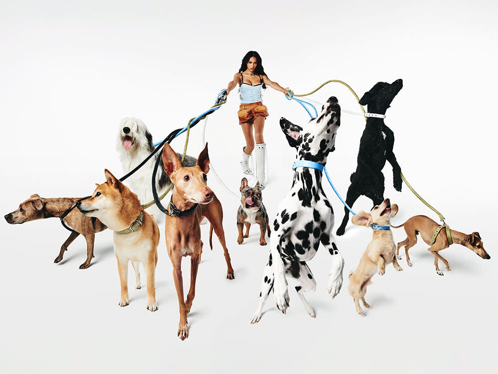 Nobody Tells You What a Designer Leash Can Actually Hold. This One Does.