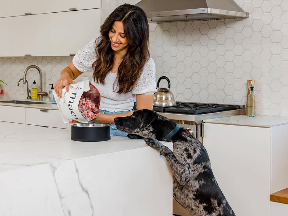 An MIT Engineer Fed Her Seizing Dog Raw Meat. Then She Engineered the Safety Problem Out of It.