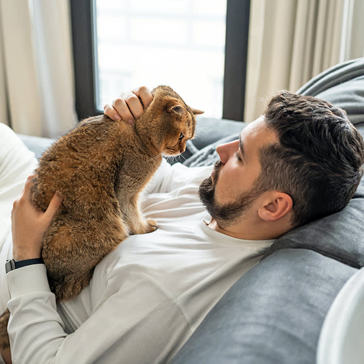 Male vs. Female Is the Wrong Question About Cat Affection. Here's the Right One