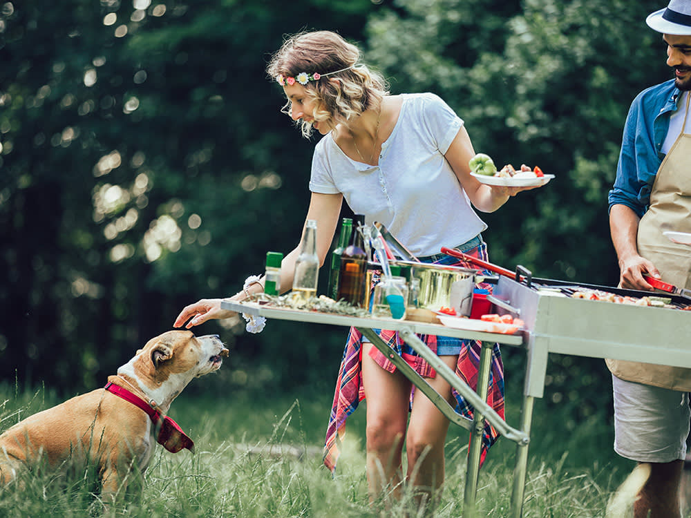 10 Memorial Day Hazards an ER Vet Sees Every Single Year