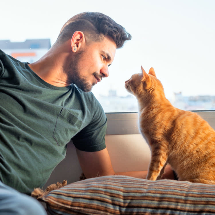 An App Says It Can Translate Your Cat's Meows. We're Not Sure That's the Point.