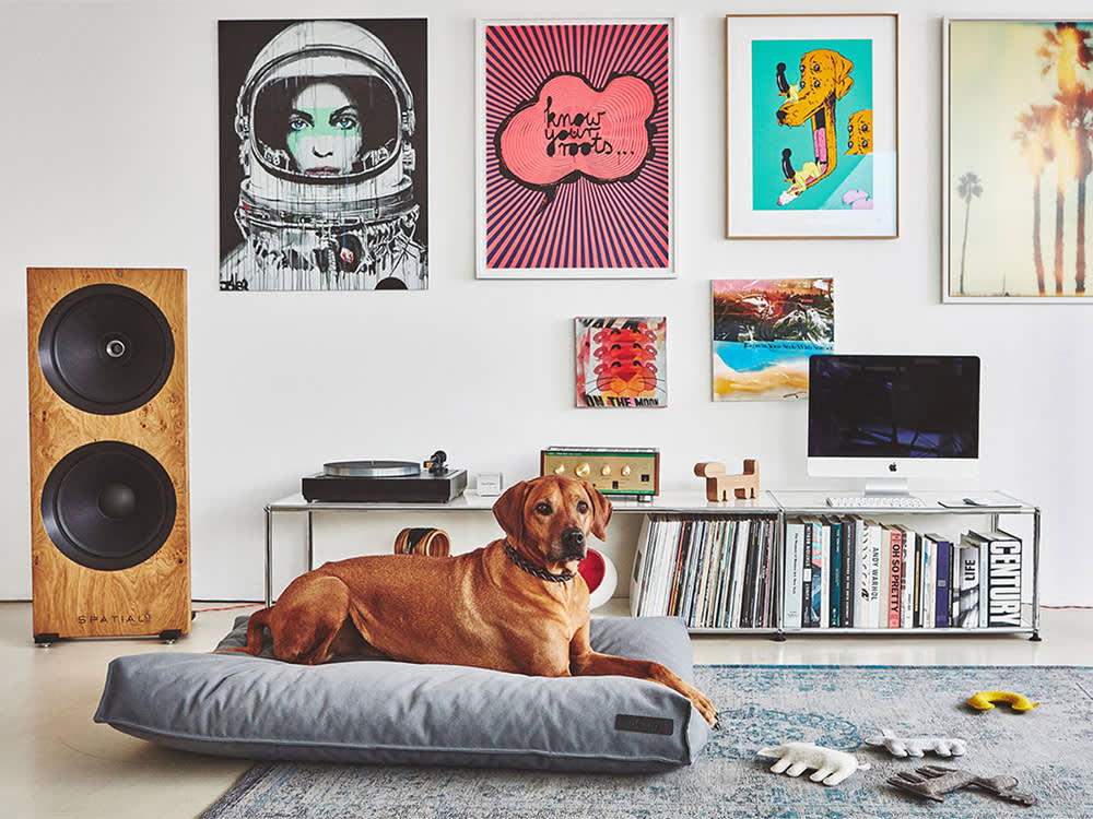 This Brand Treats Your Dog's Bed Like Real Furniture. It Started With a Scared Labrador.