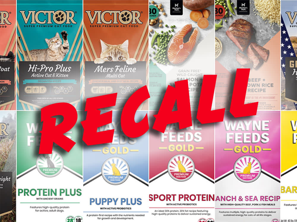 The Salmonella Recall That Sickened Babies Started in a Bag of Dog Food