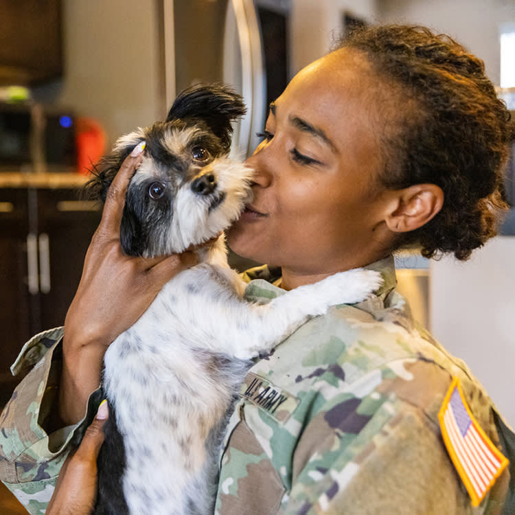 Shipping Your Dog Overseas Can Cost $10,000. The Military Finally Started Paying.