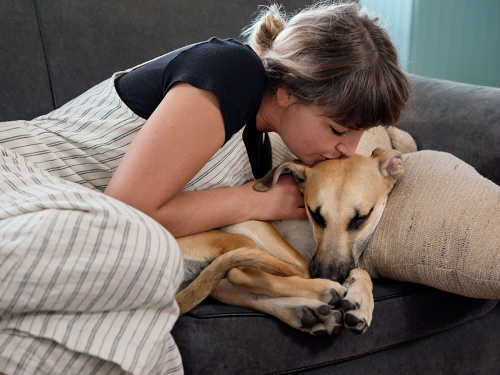 Millennials Didn't Trade Kids for Dogs. They Ran the Numbers.