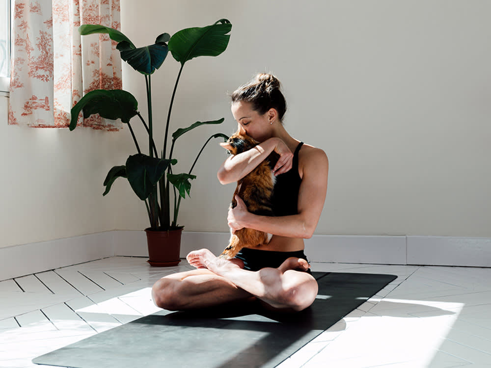 Your Cat Ruins Your Meditation by Sitting on Your Chest. That's the Practice.