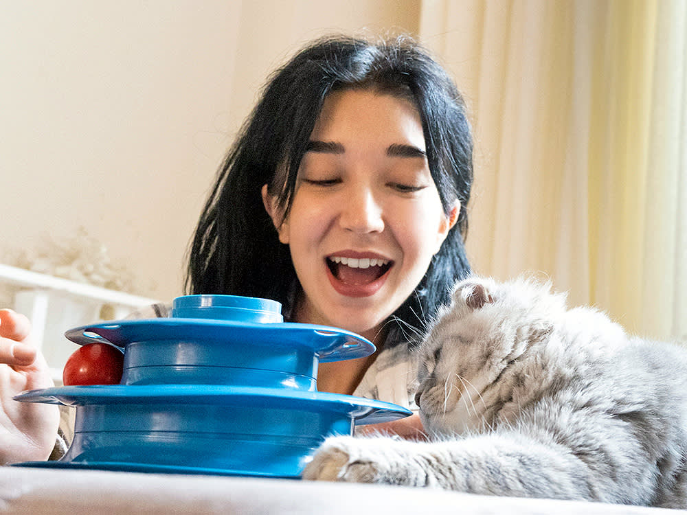 'My Cat Doesn't Like to Play' Is Almost Always a You Problem