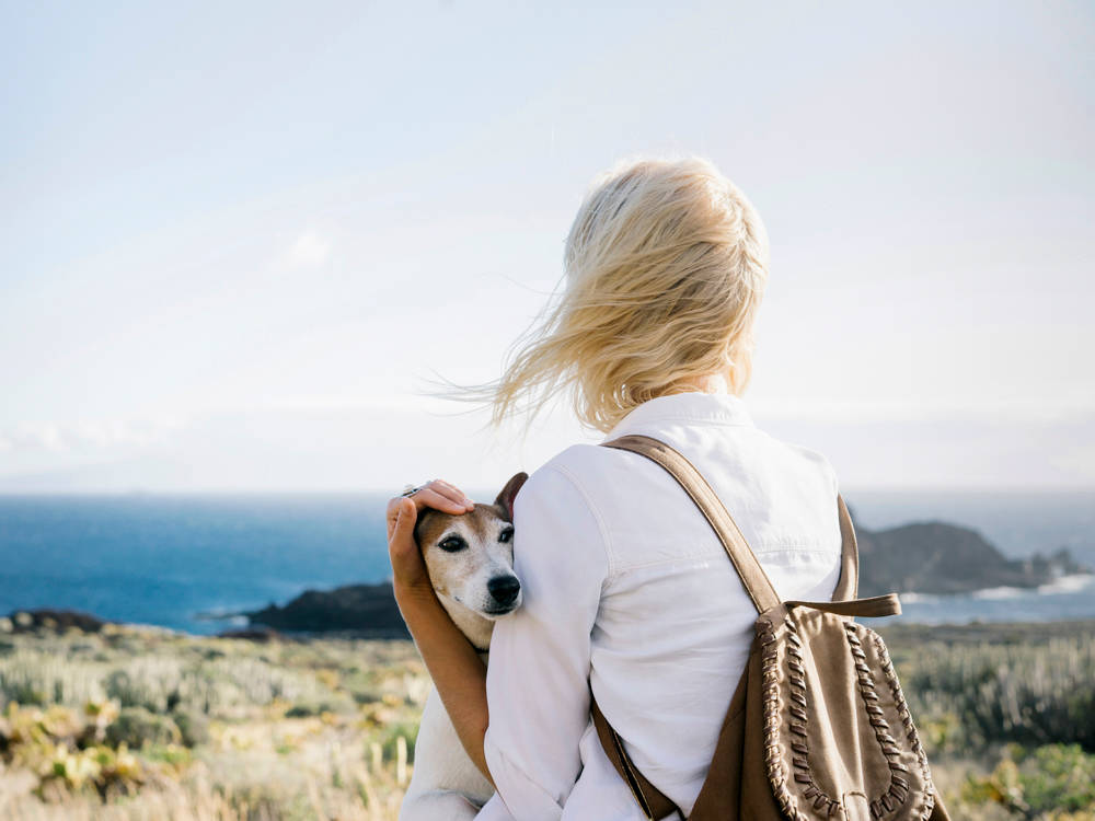 Your Dog Is the Only Reason You'll Actually Go Outside. Use It.