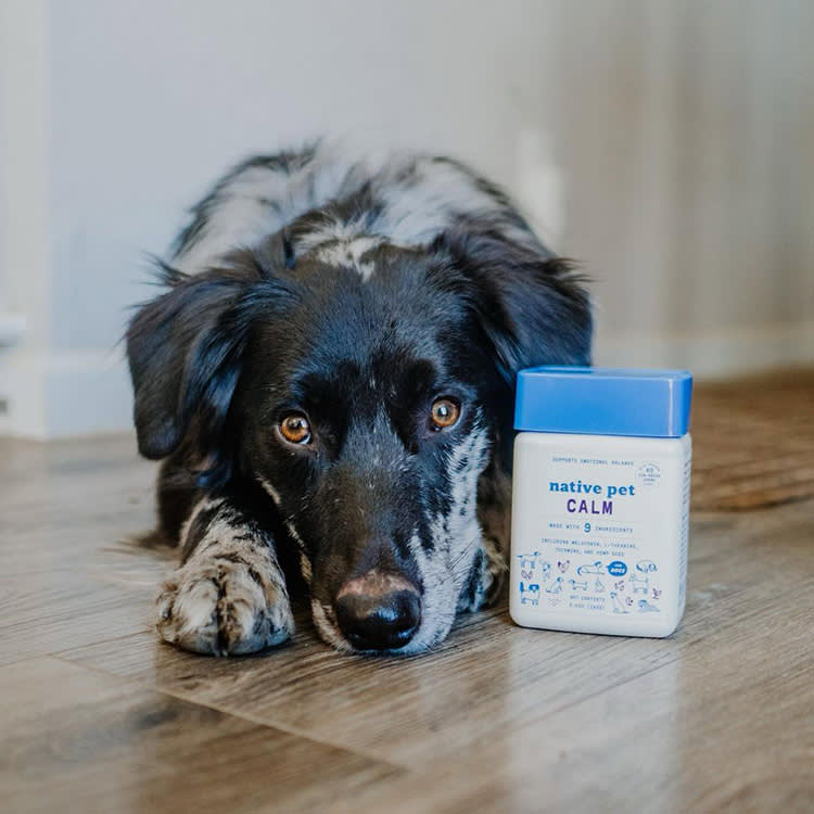 Nobody Checked That Calming Chew Before It Hit the Shelf