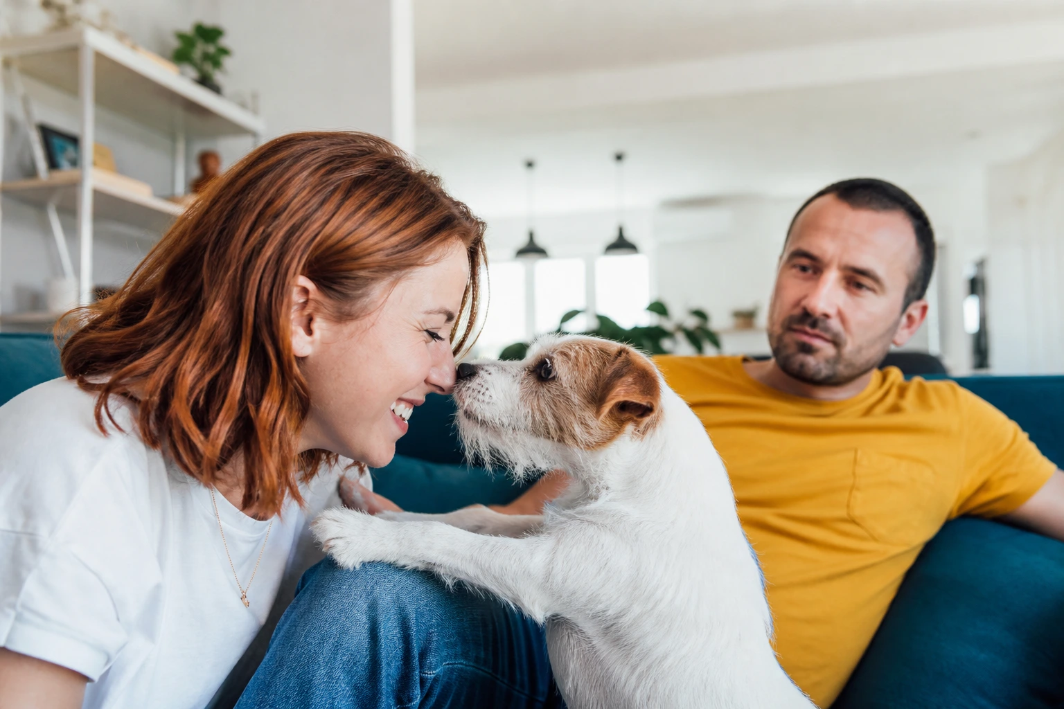You're Not Fighting About the Dog. You're Fighting About the Why