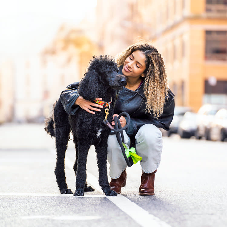 NYC Just Closed the Puppy-Store Window for Good