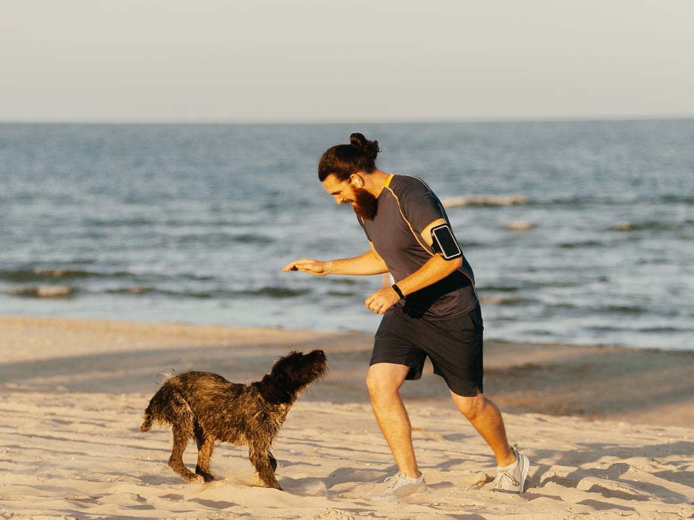 A Loose Dog Is Charging You. Your Instincts Are Wrong.
