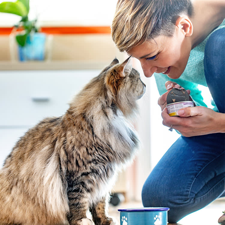 The Oldest Cat Ever Drank Wine and Coffee. Please Don't Copy Him.