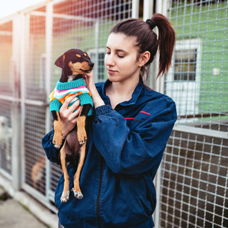 Stop Calling Them 'Kill Shelters.' Then Show Up.