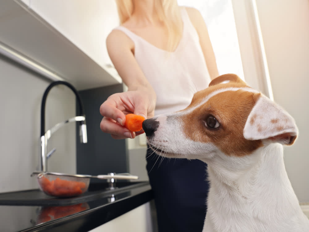 The Carrot in Your Dog's Bowl Was on a Recall List. Here's the Real Lesson