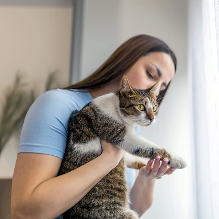 Pawmistry Is Nonsense. But the Urge Behind It Just Got a Real Answer