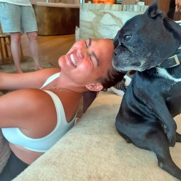 Penny Survived Abuse, Lost a Leg, and Still Won the Dog Lottery