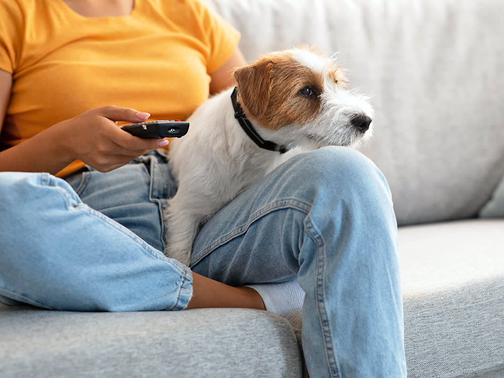 The #1 Thing People Love Doing With Their Dogs Isn't the Walk
