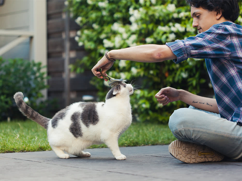 Your Dog's Shed Fur Is a Raw Material. Here Are 8 Things to Do With It