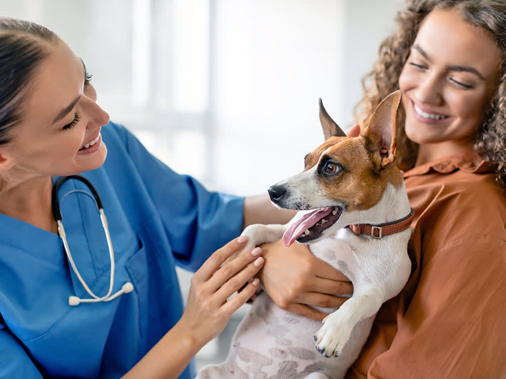 Your Pet Insurance Won't Pay for Shots. Here's the Add-On That Might.