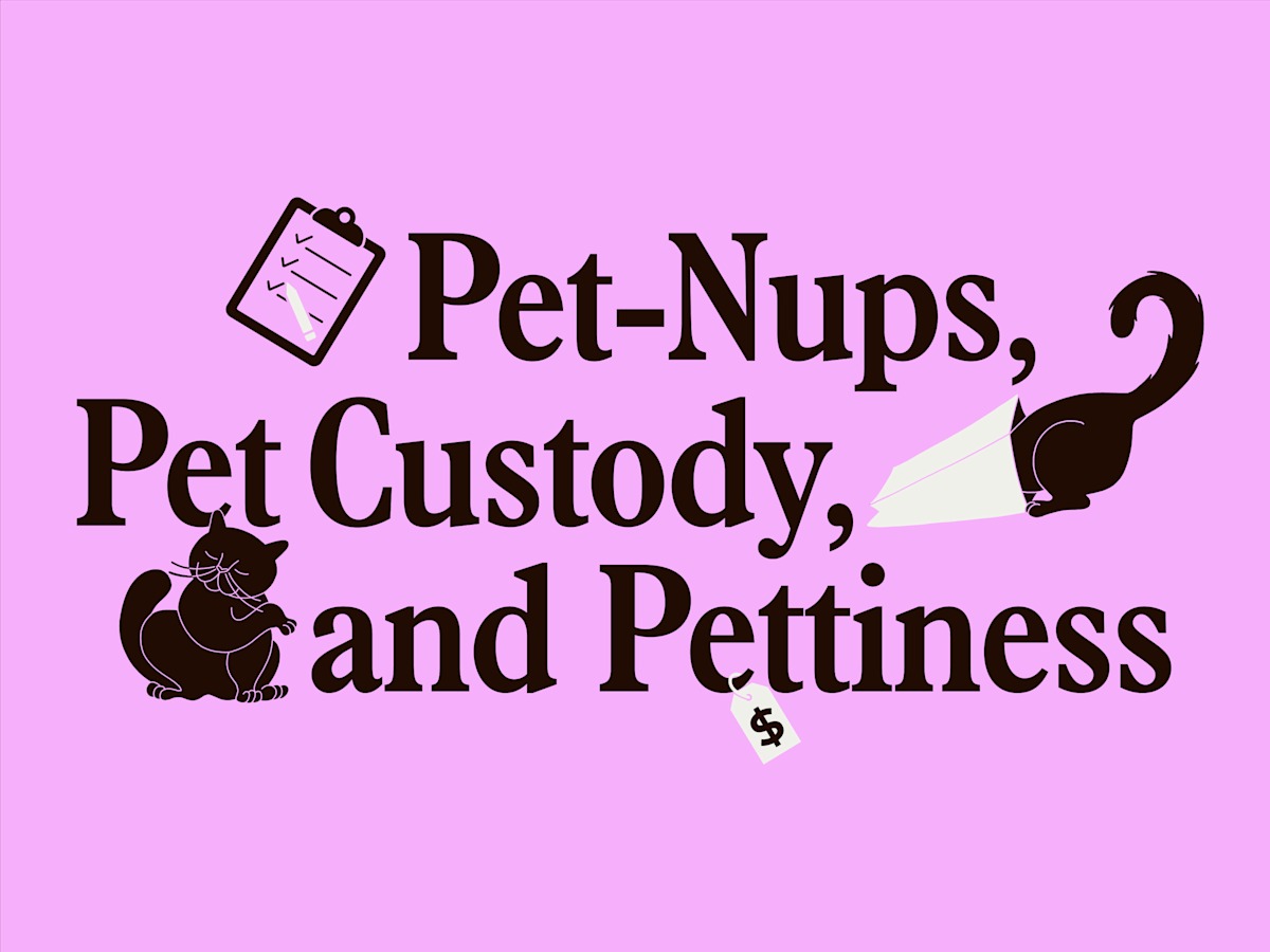 35% of Gen Z Has a 'Pet-Nup.' The Law Hasn't Caught Up.