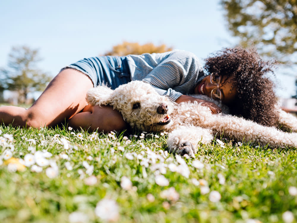 Every Big Pet Trend Traces Back to One Shift: Pets Became Family