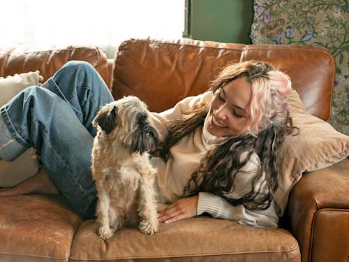Nearly Half of Us Have Bailed on Friends to Stay Home With the Dog. The Survey Isn't Judging