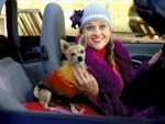 Think Your Pet Could Be on TV? A Hollywood Animal Agent Wants You to Read This First