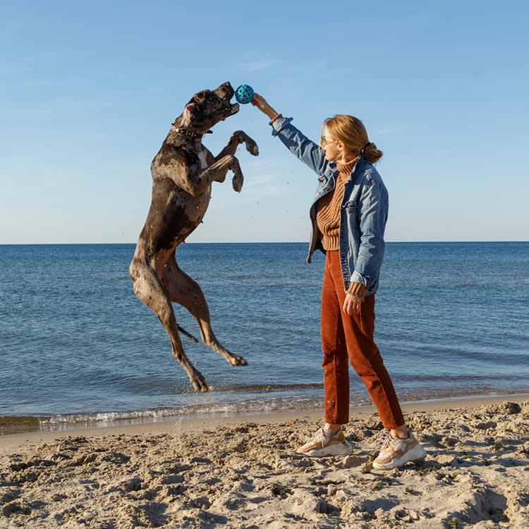 You Were Told to Bank Your Puppy's Stem Cells. The Company That Sold That Doesn't Anymore