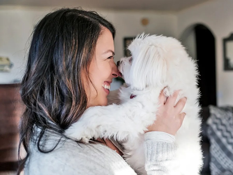 Your Dog Is 'Worth $90,000 a Year.' That Number Is Doing Something Sneaky.