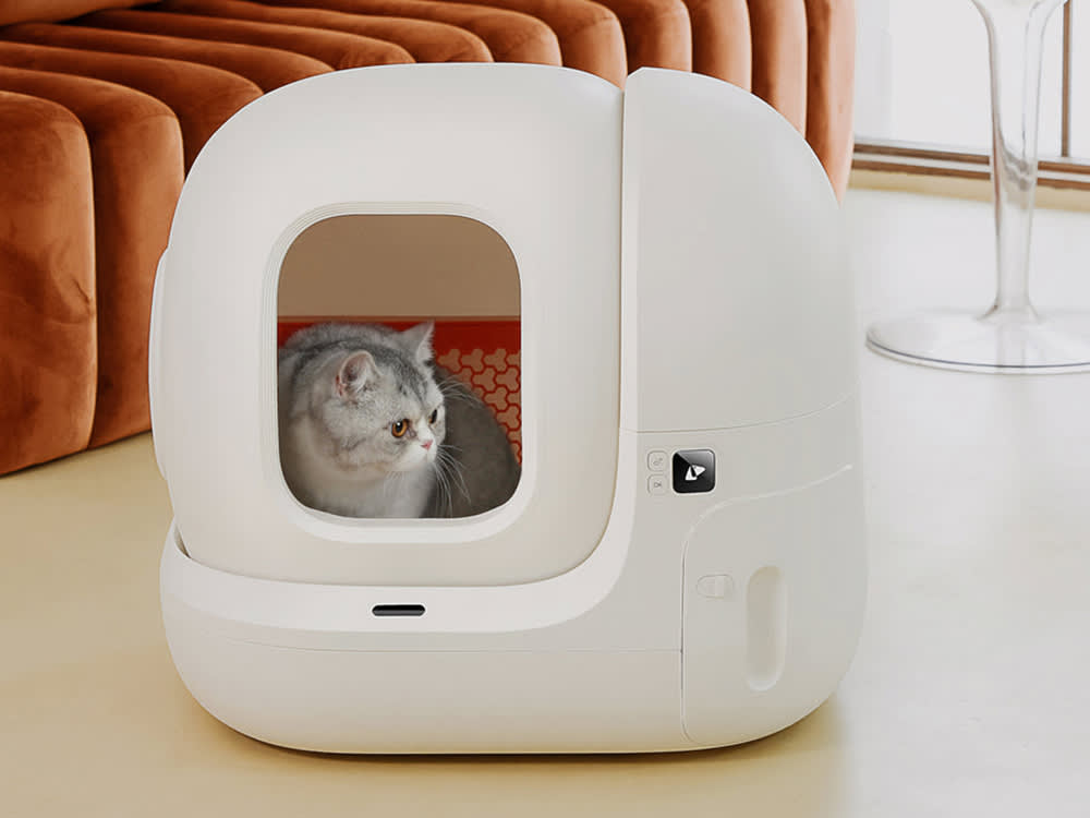 The Self-Cleaning Litter Box That Actually Wins Cats Over
