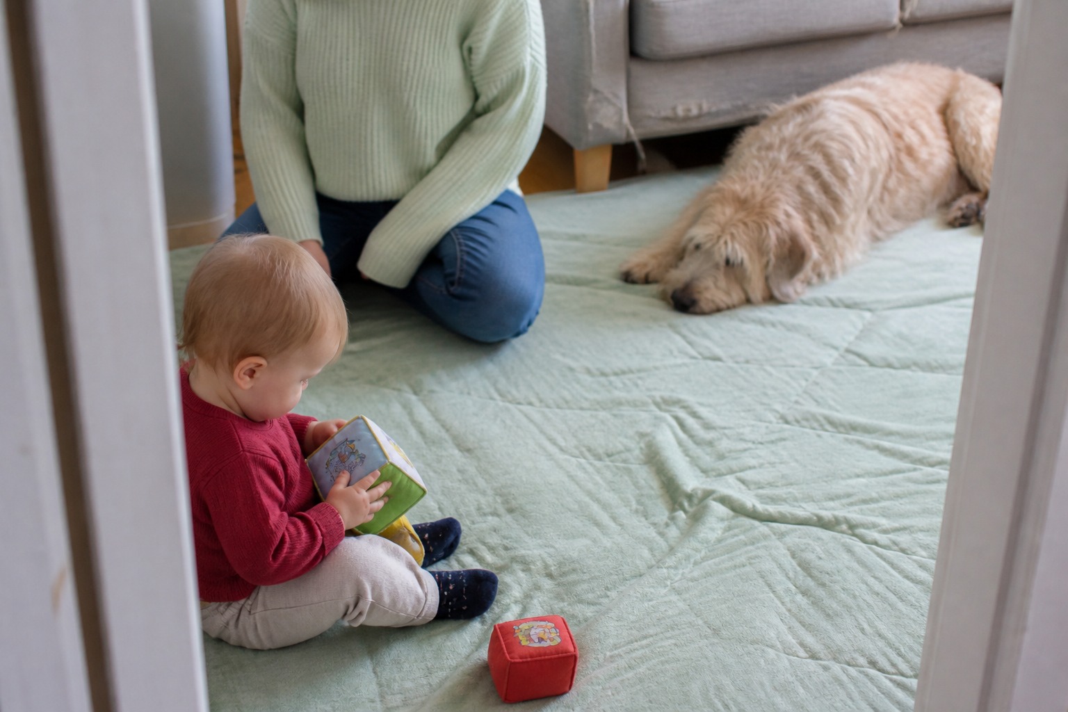 Keeping the Baby Away From the Dog? The Science Says You Have It Backwards.
