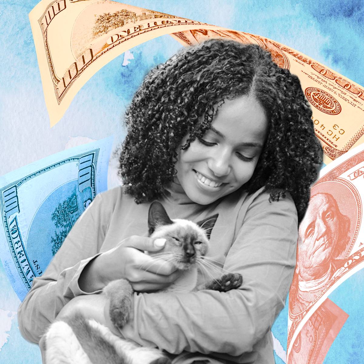 I Spent $6,064 on My Cat in One Month. Only $94 of It Was Actually Cat Stuff.