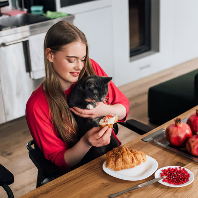 Your Cat Can Eat Pomegranate. That's Not the Same as Should.