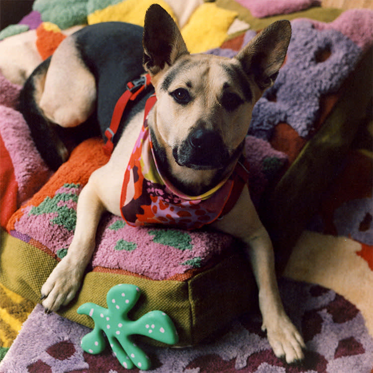 This Dog Bed Is Prettier Than Your Couch. That's the Point.