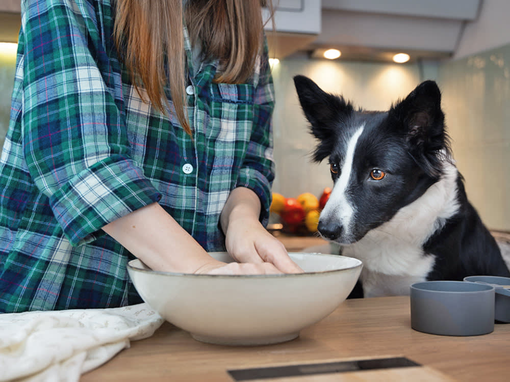 40 Homemade Dog Biscuits, 5 Ingredients, One Rule About Peanut Butter
