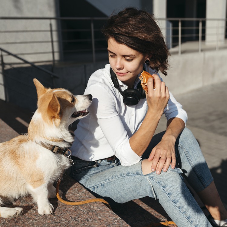 Those "Puppy Dog Eyes" Weren't Invented to Manipulate You. Science Just Proved It.