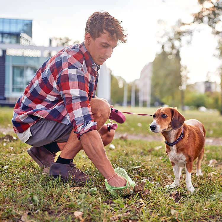 Your Puppy's Poop Looks Like Soft Serve. Here's When to Shrug and When to Call.