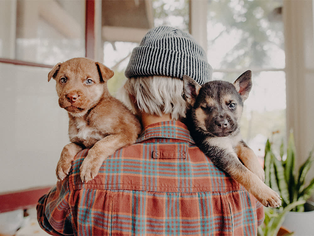 A Layoff, a Pregnant Street Dog, and 4,500 Rescues Later