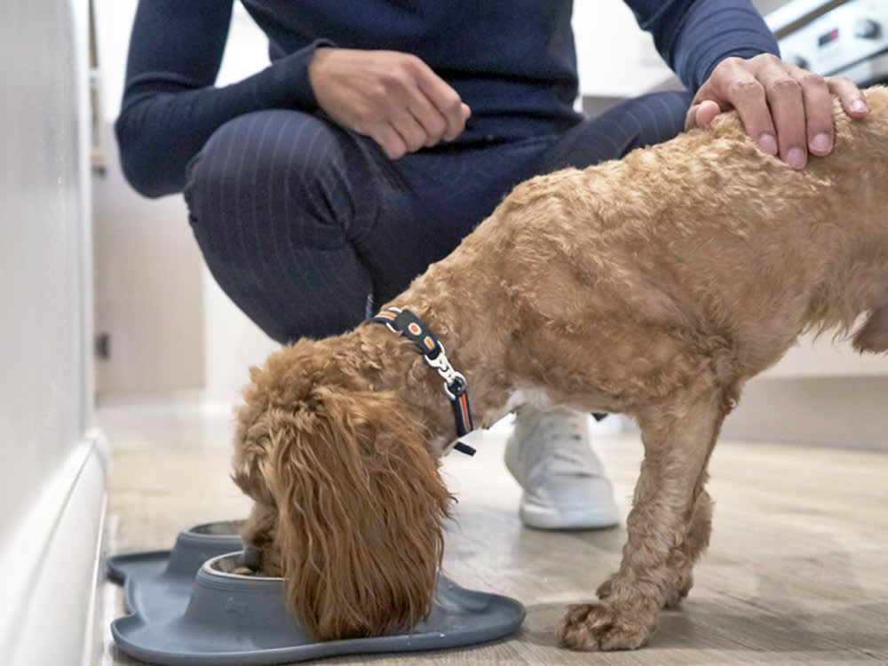 The FDA Says Toss This Raw Dog Food Now. The Recall Has Only Gotten Bigger.