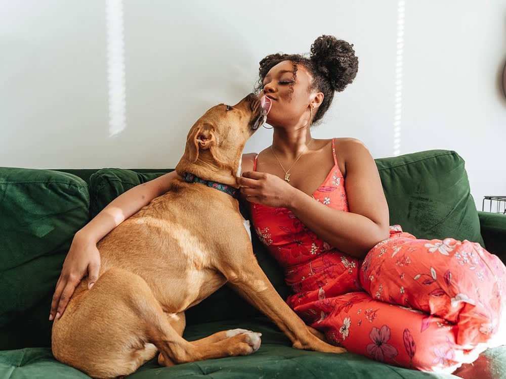 Some States Once Banned Black Families From Owning Dogs. A Yale Scholar on Why That Still Echoes.