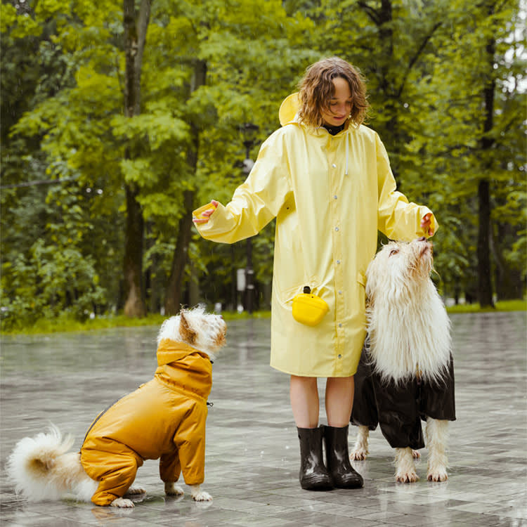 Stuck Inside With a Wired Dog? 9 Ways to Wear Them Out Without a Walk